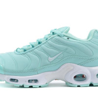 Nike Air Max Plus "TN"